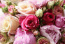 image100.gif