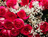 image103.gif