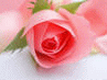 image104.gif