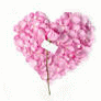image105.gif