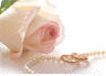 image106.gif