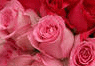 image107.gif