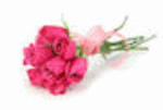 image14.gif
