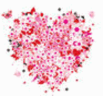 image17.gif