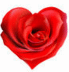 image21.gif