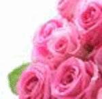 image22.gif