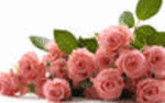 image24.gif