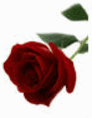 image25.gif