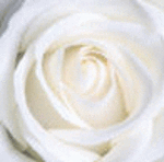 image34.gif