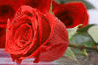 image53.gif