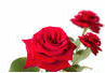 image55.gif