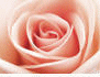 image59.gif