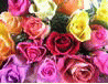 image63.gif