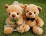 image64.gif