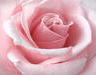 image66.gif