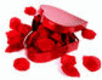 image7.gif