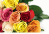 image71.gif