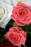 image73.gif