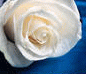 image76.gif