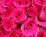 image79.gif