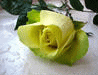 image80.gif