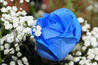 image94.gif