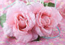 image95.gif