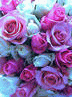 image96.gif