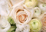 image99.gif